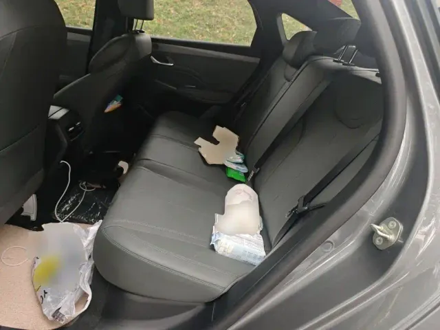 BYD Qin PLUS — Фото автомобиля 13