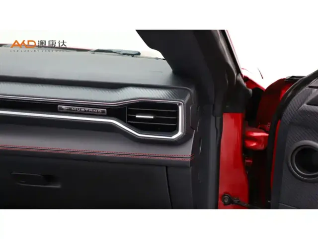 Ford Mustang — Фото автомобиля 9