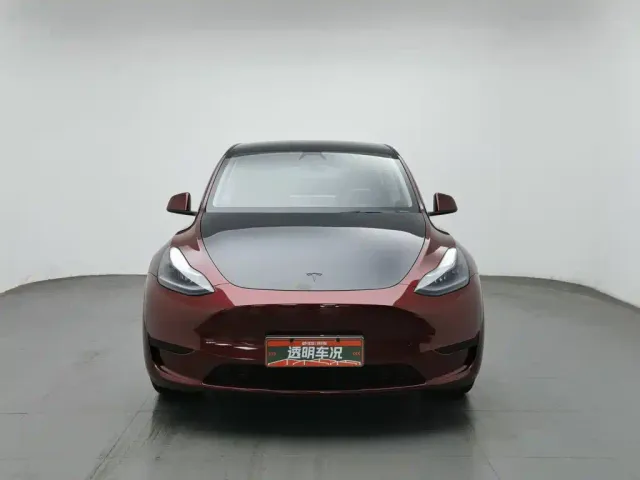 Tesla Model Y — Фото автомобиля 3