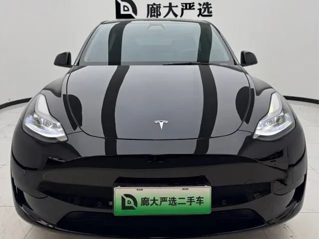 Tesla Model Y — Фото автомобиля 2