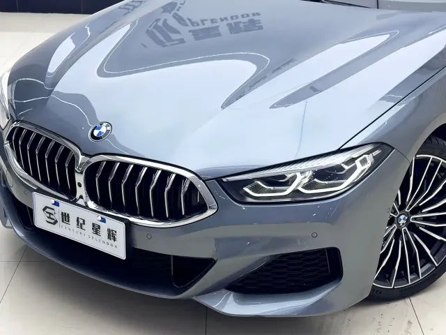 BMW 8 Series — Фото автомобиля 10