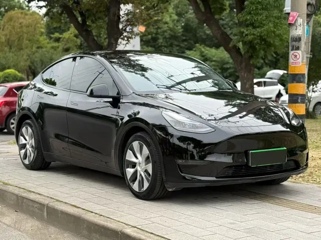 Tesla Model Y — Фото автомобиля 3
