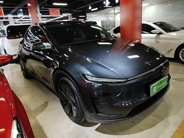 Tesla Model Y — Фото автомобиля 3