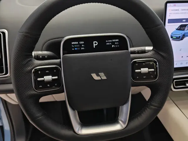Li Auto L9 — Фото автомобиля 14