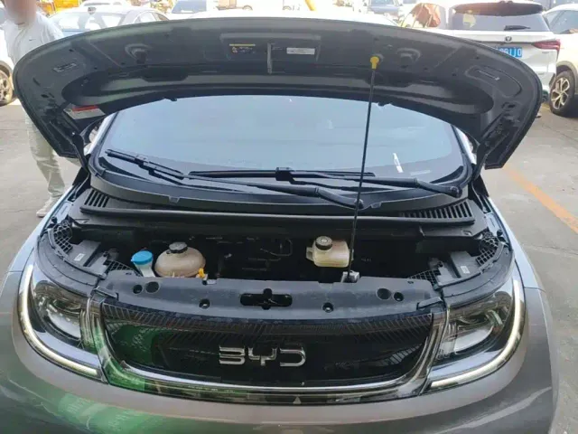 BYD Dolphin — Фото автомобиля 19
