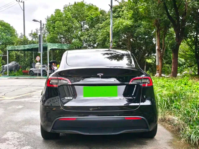 Tesla Model Y — Фото автомобиля 4