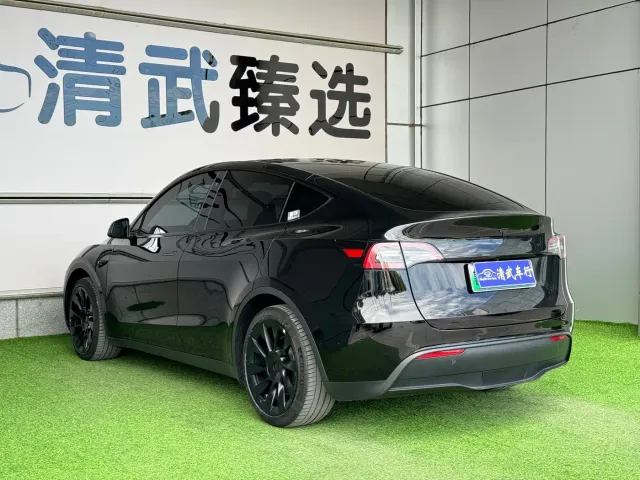 Tesla Model Y — Фото автомобиля 12