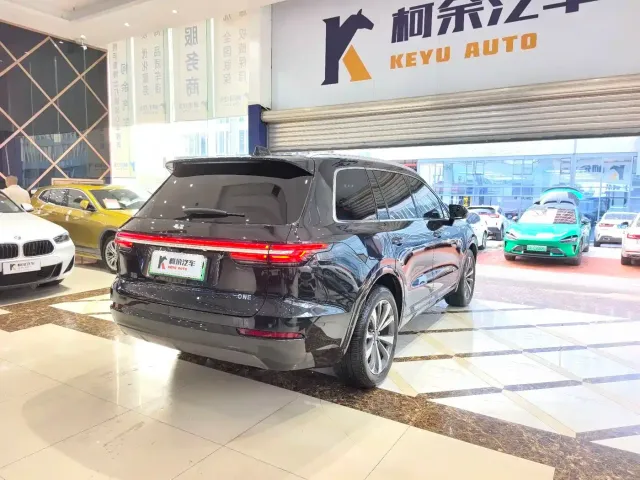 Li Auto Li ONE 2021 Extended Range 6-Seater — Фото автомобиля 11