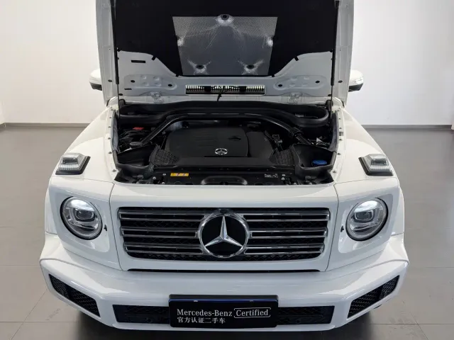 Mercedes-Benz G-Class — Фото автомобиля 22