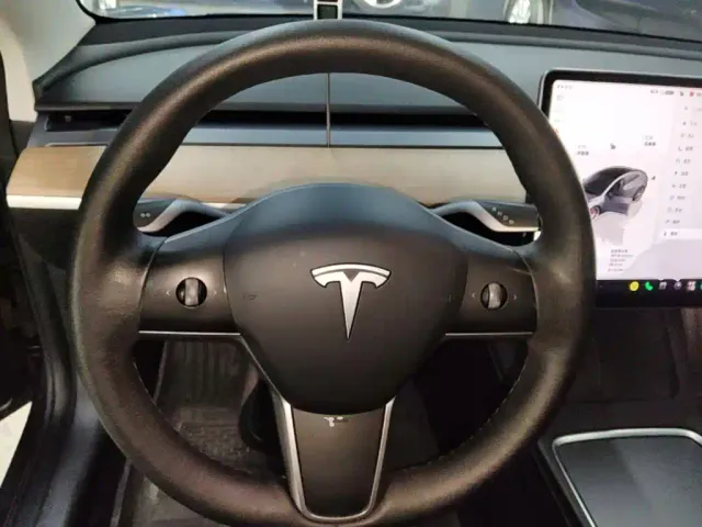 Tesla Model 3 — Фото автомобиля 10