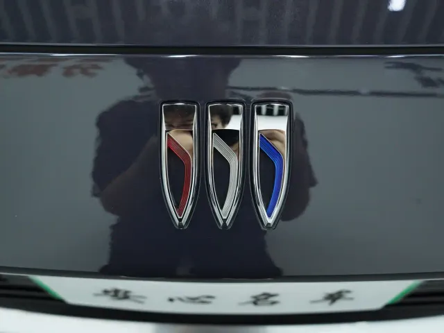 Buick Electra L7 — Фото автомобиля 15