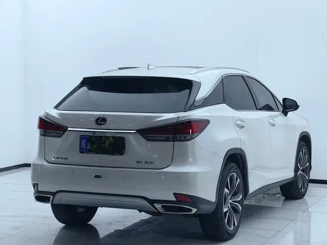 Lexus RX — Фото автомобиля 20