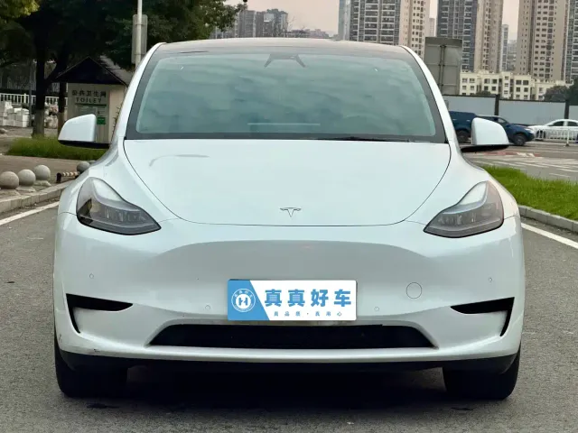 Tesla Model Y — Фото автомобиля 2