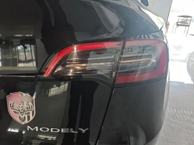 Tesla Model Y — Фото автомобиля 7