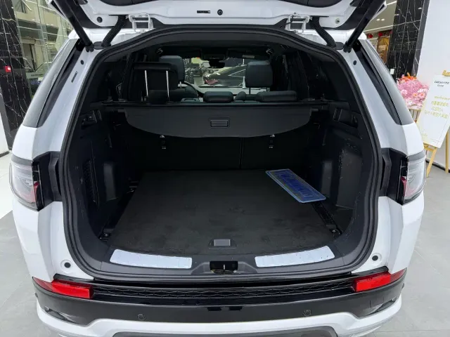 Land Rover Discovery Sport — Фото автомобиля 22