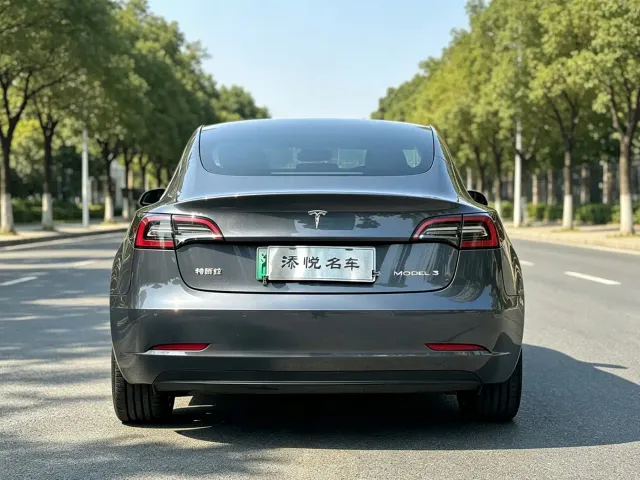 Tesla Model 3 — Фото автомобиля 6