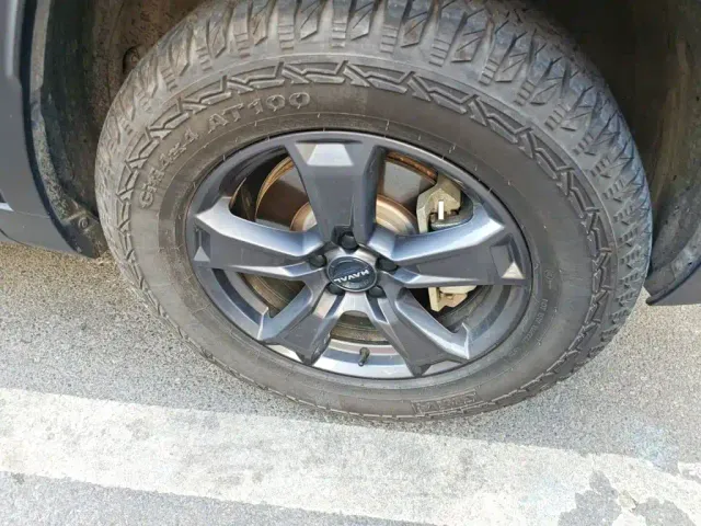 Haval Raptor — Фото автомобиля 25