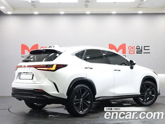 Lexus NX — Фото автомобиля 3