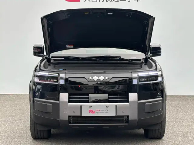 BYD FangChengBao Titanium 7 — Фото автомобиля 8
