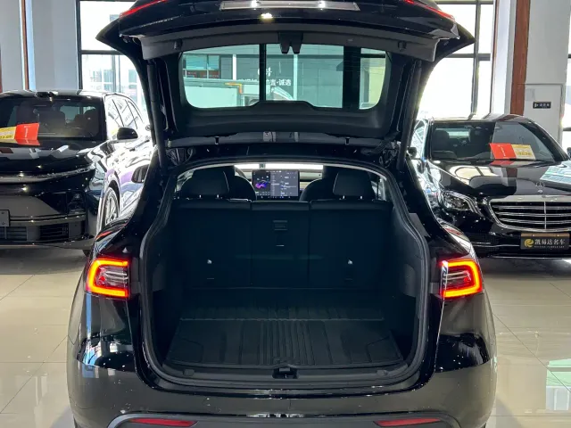 Tesla Model Y — Фото автомобиля 25