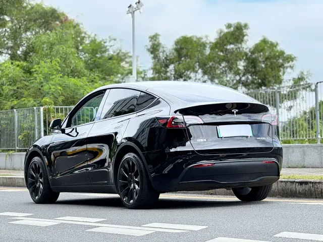 Tesla Model Y — Фото автомобиля 4