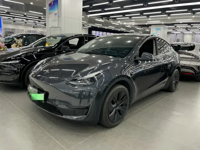 Tesla Model Y — Фото автомобиля 2