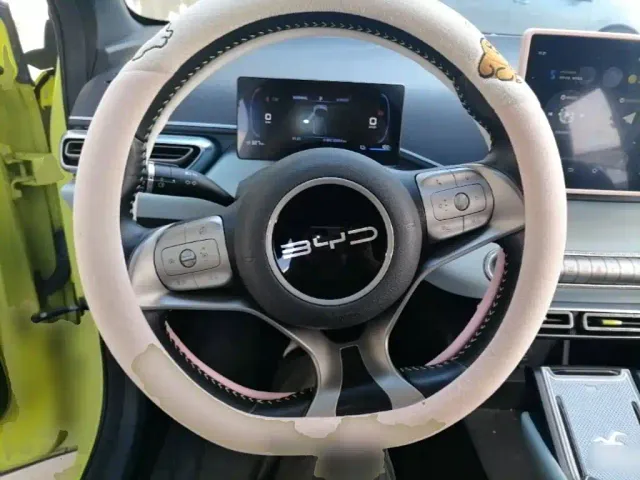 BYD Seagull — Фото автомобиля 10