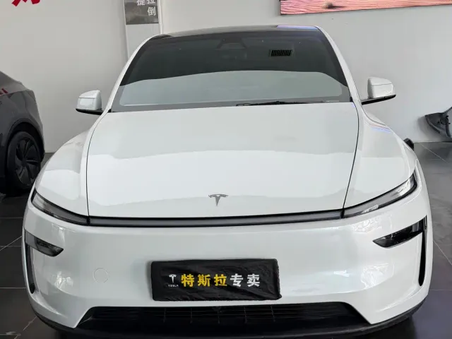Tesla Model Y — Фото автомобиля 2