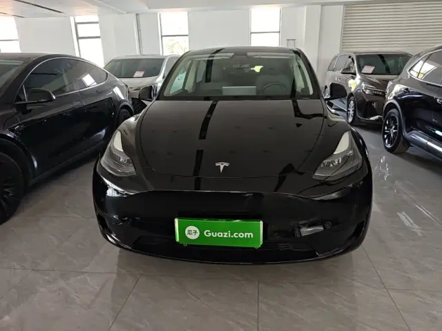 Tesla Model Y — Фото автомобиля 2