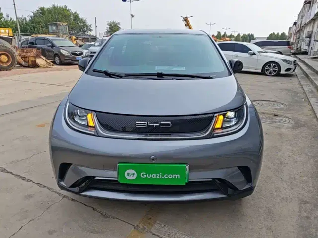 BYD Dolphin 2024 Glory Edition 420km Freedom Edition — Фото автомобиля 2