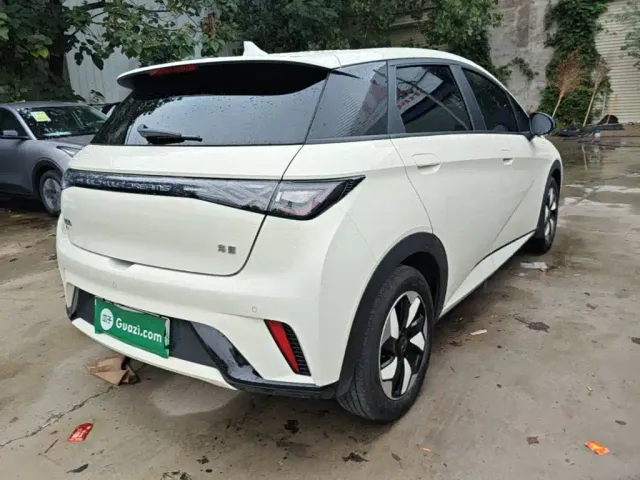 BYD Dolphin — Фото автомобиля 6
