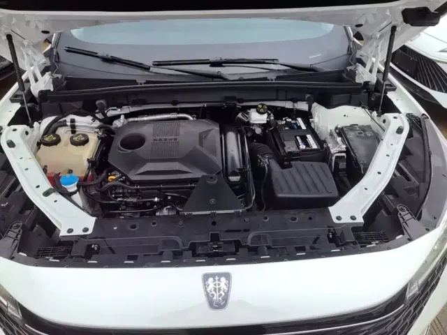 Roewe RX5 — Фото автомобиля 19