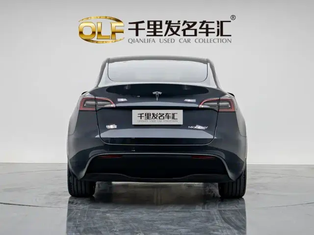 Tesla Model Y — Фото автомобиля 2