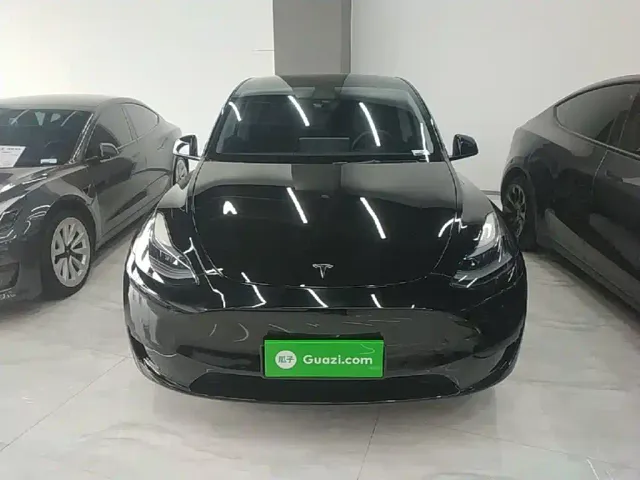 Tesla Model Y — Фото автомобиля 2