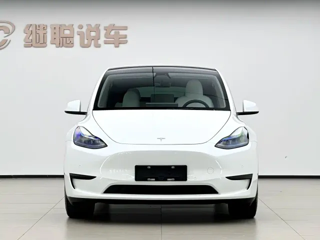 Tesla Model Y — Фото автомобиля 2