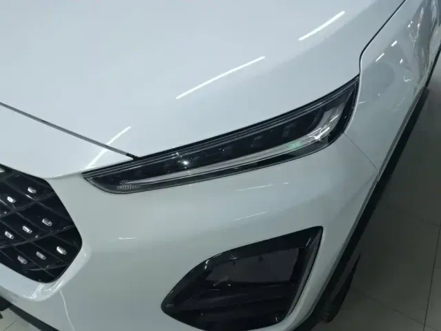 Chery Tiggo 3x — Фото автомобиля 23