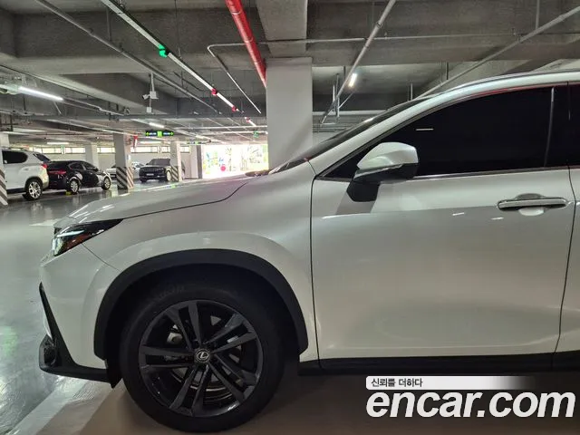 Lexus NX — Фото автомобиля 2
