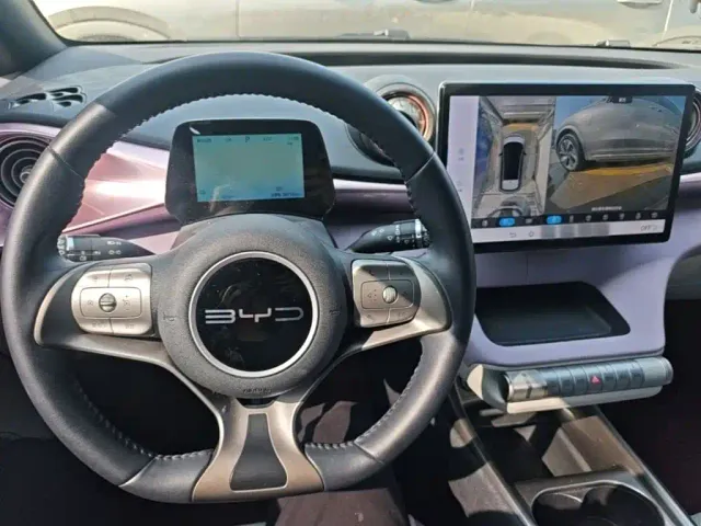 BYD Dolphin — Фото автомобиля 10