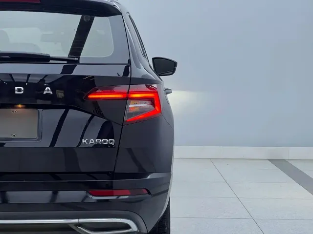 Skoda Karoq — Фото автомобиля 6