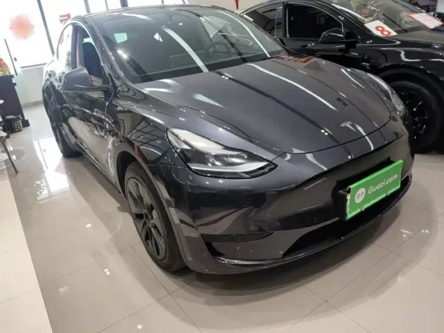 Tesla Model Y — Фото автомобиля 3