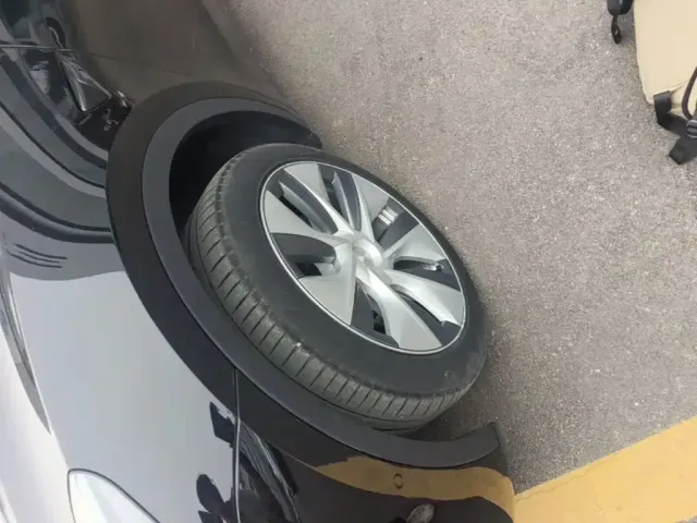 Tesla Model Y — Фото автомобиля 22