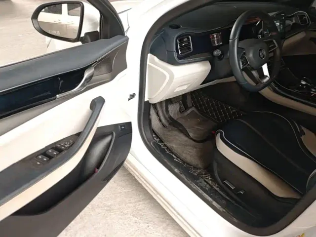 BYD Qin PLUS 2021 DM-i 55KM Flagship — Фото автомобиля 15