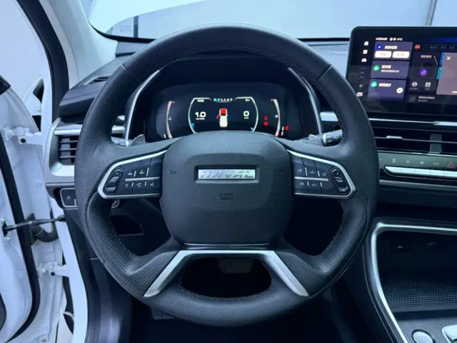 Haval H6 — Фото автомобиля 11