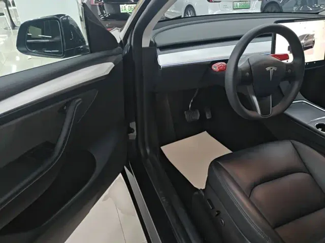 Tesla Model Y — Фото автомобиля 15