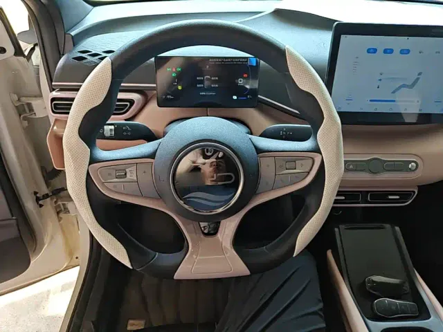 BYD Seagull — Фото автомобиля 10