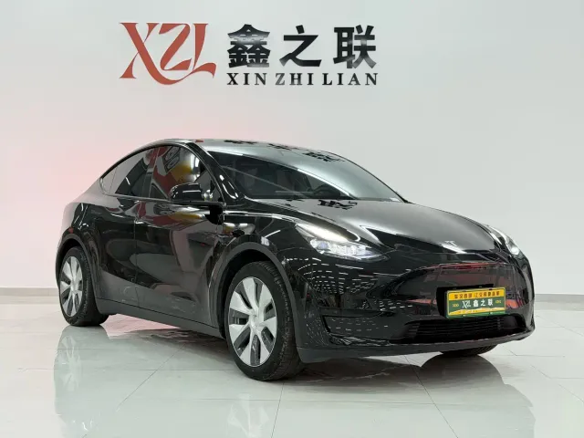 Tesla Model Y — Фото автомобиля 3