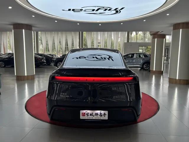 Tesla Model Y — Фото автомобиля 6