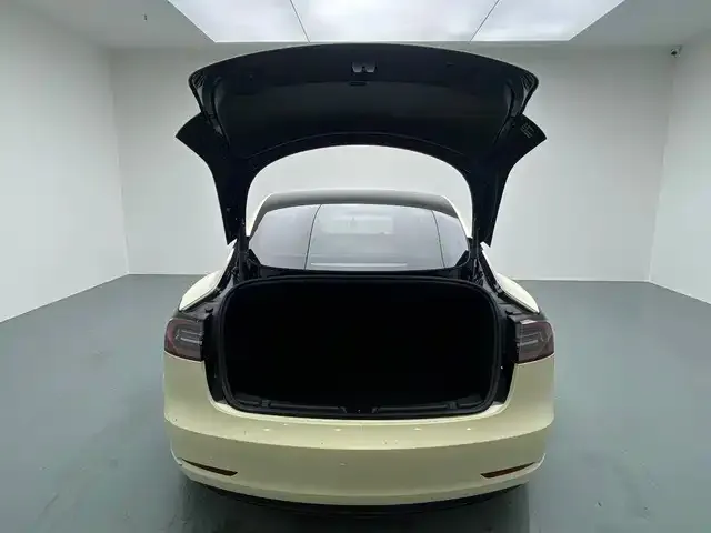 Tesla Model 3 — Фото автомобиля 16