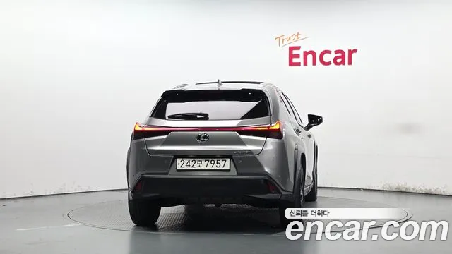 Lexus UX UX250h — Фото автомобиля 4