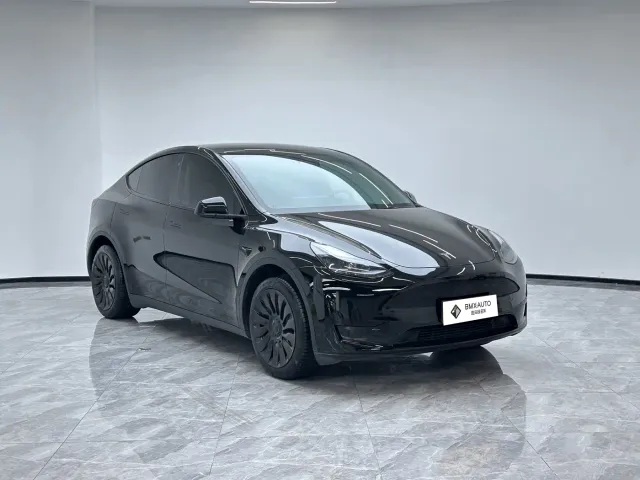 Tesla Model Y — Фото автомобиля 2